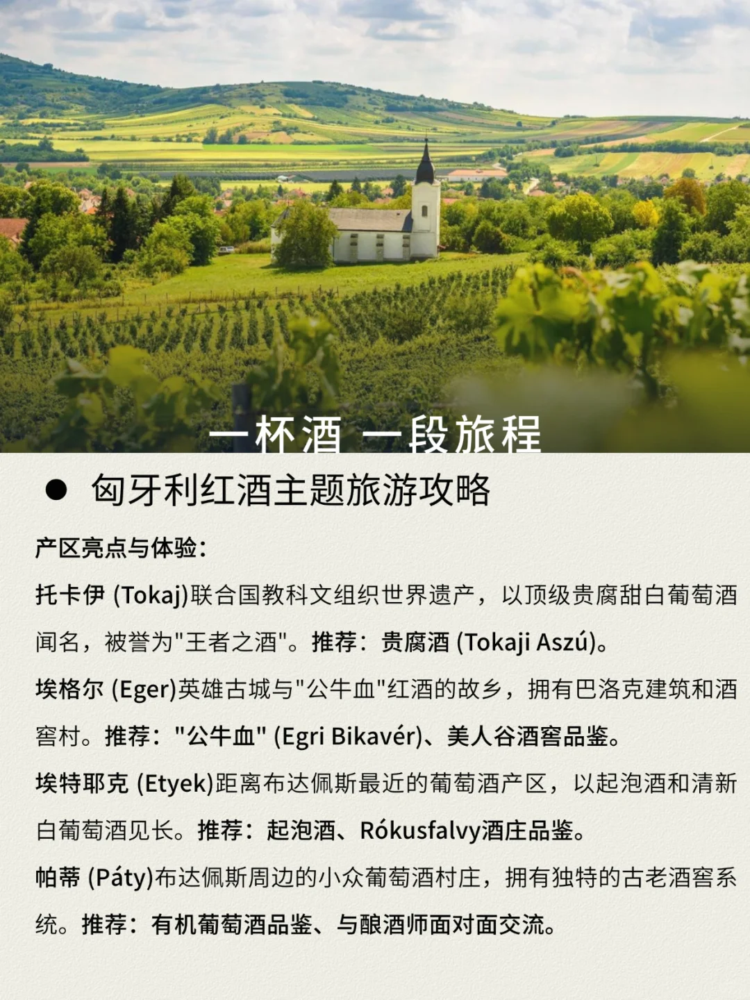 欢迎你到匈牙利开启回味无穷的红酒之旅!