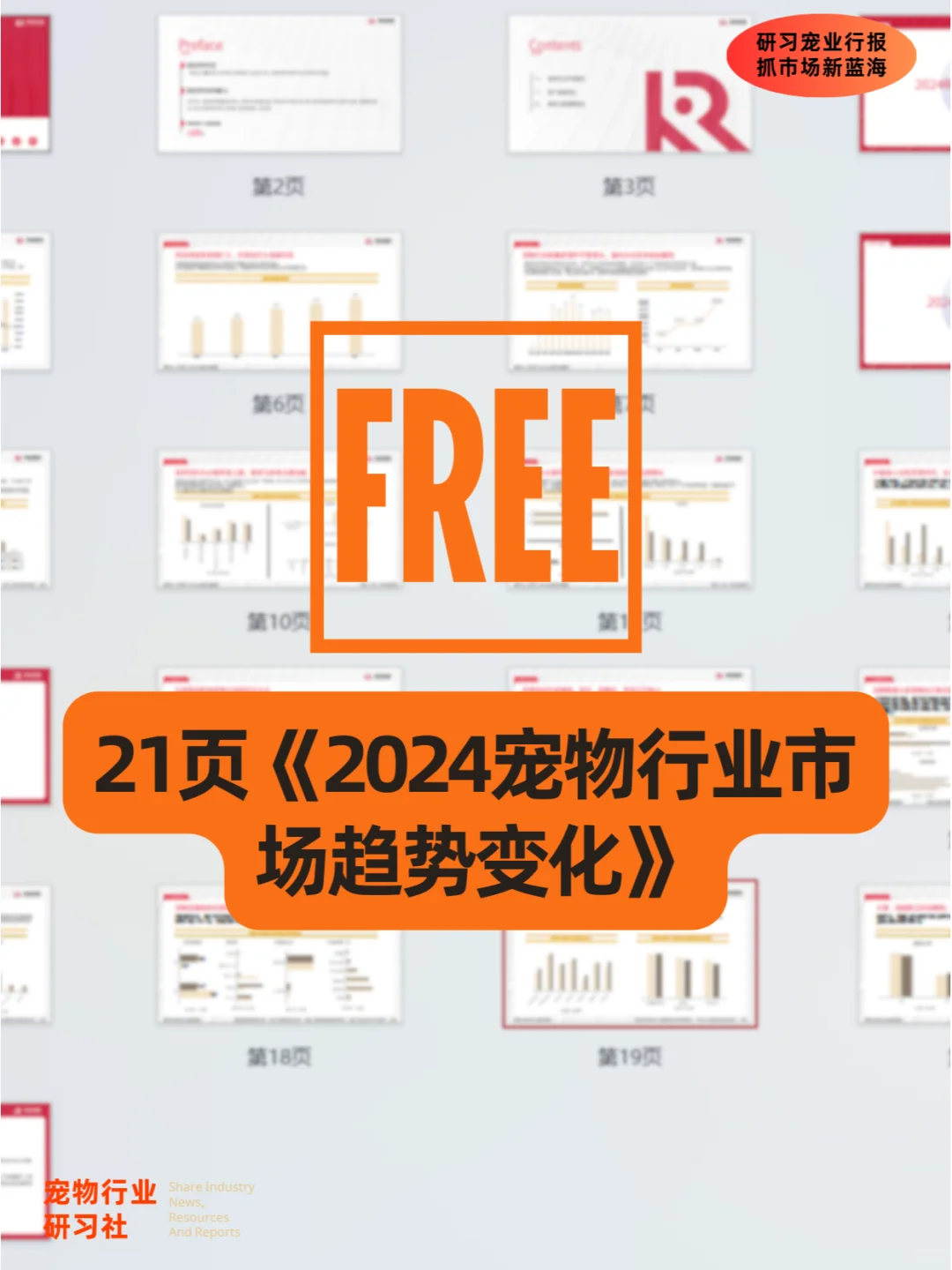 宠物行业报告|2024宠物行业市场趋势变化