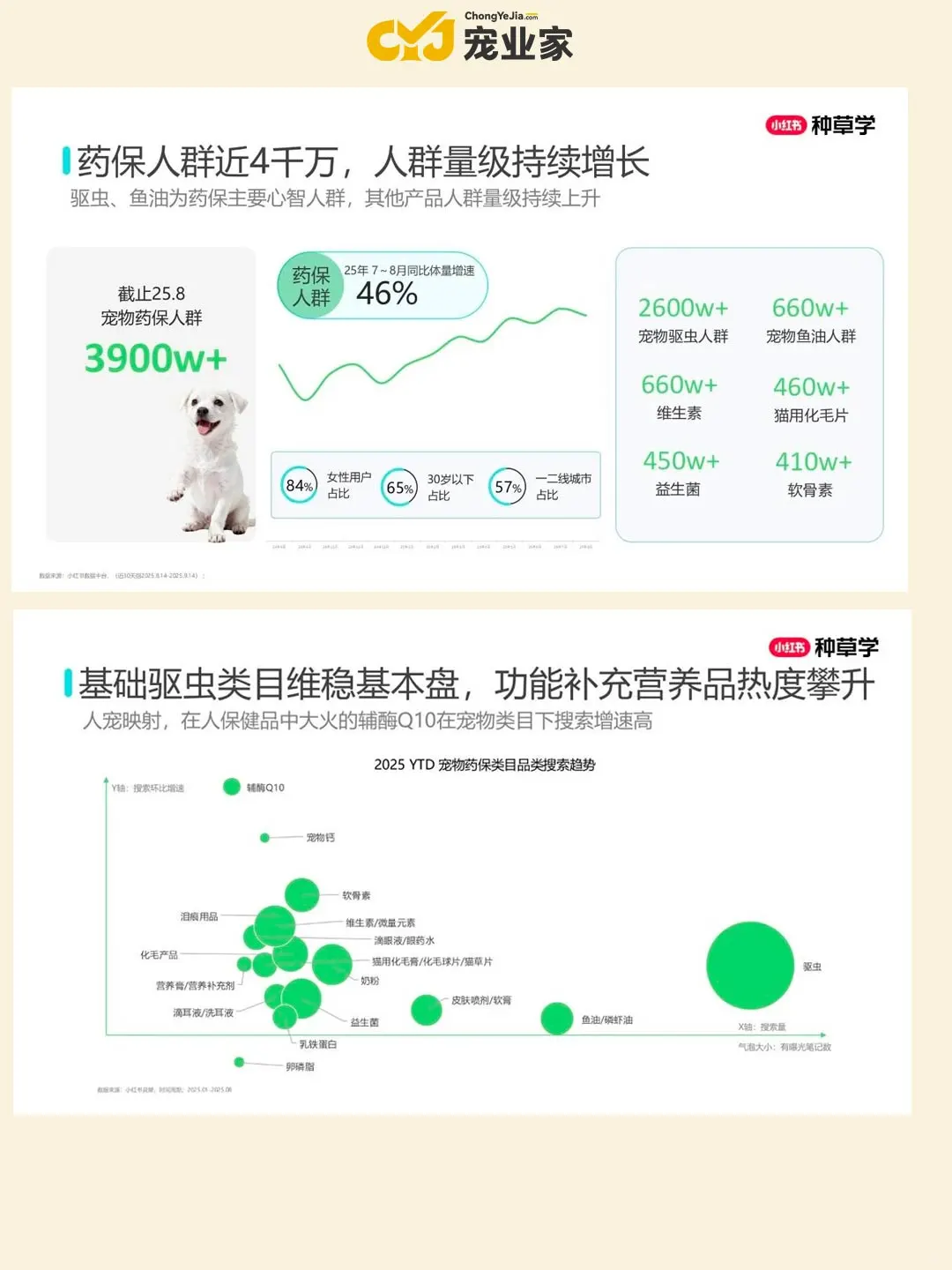 行业报告｜小红书双11宠物行业趋势前瞻
