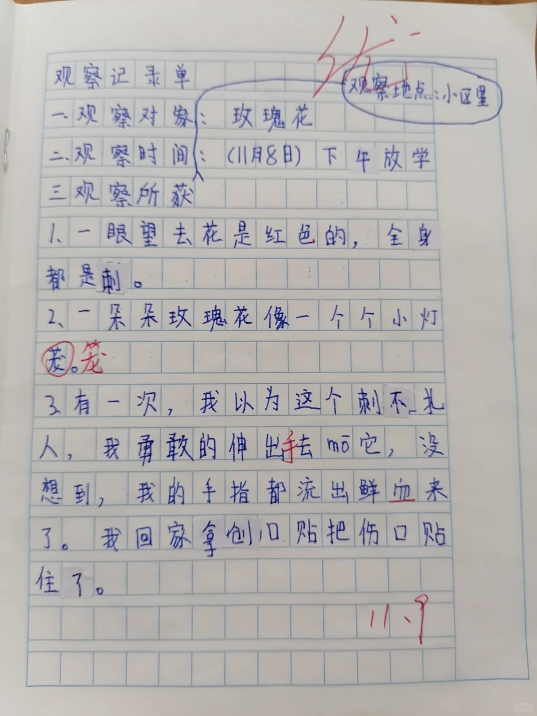 三年级上册语文第五单元：观察记录（植物）