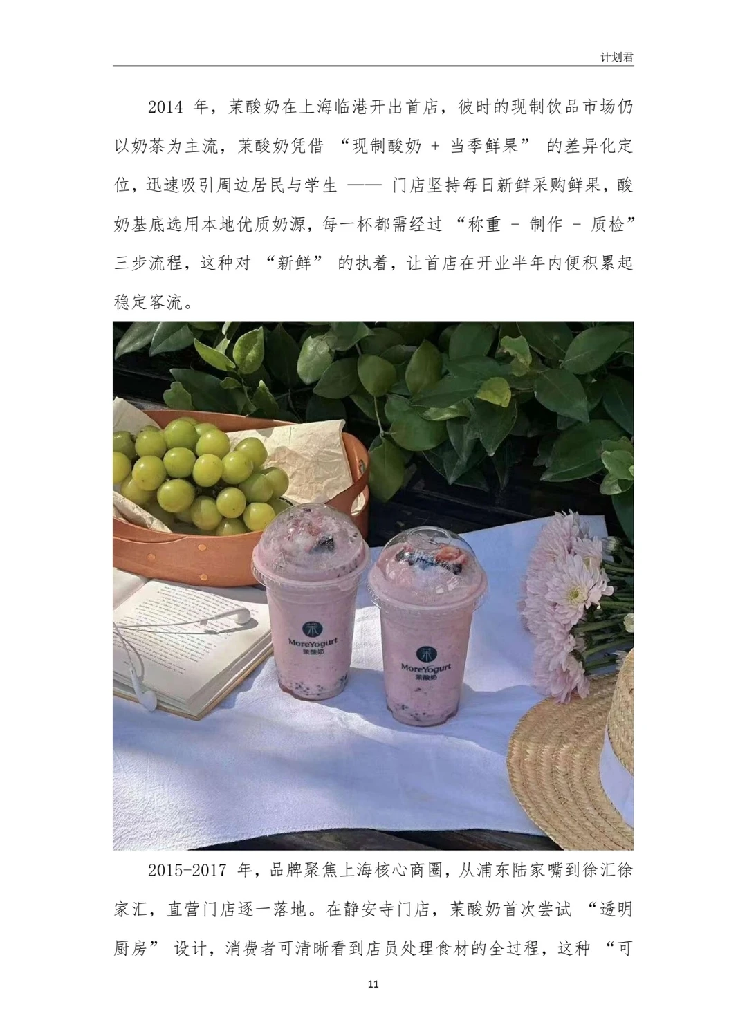 茉酸奶（More Yogurt）商业计划书