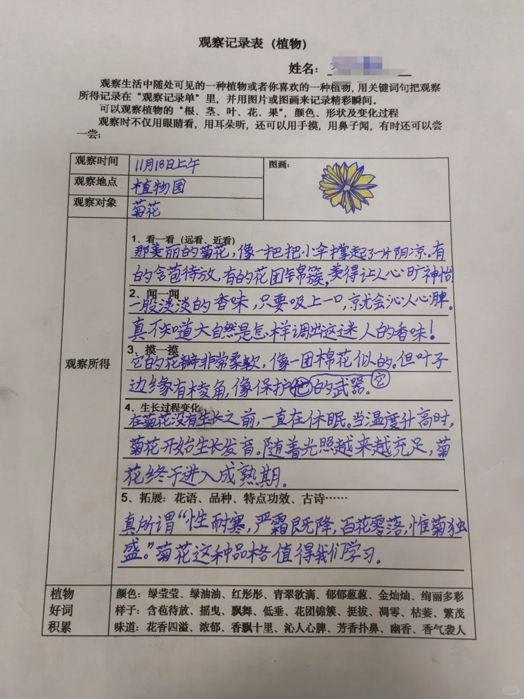 观察记录表，三上语文第五单元