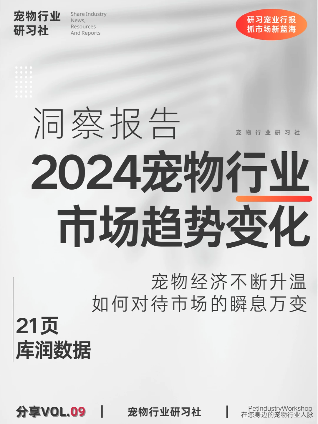 宠物行业报告|2024宠物行业市场趋势变化