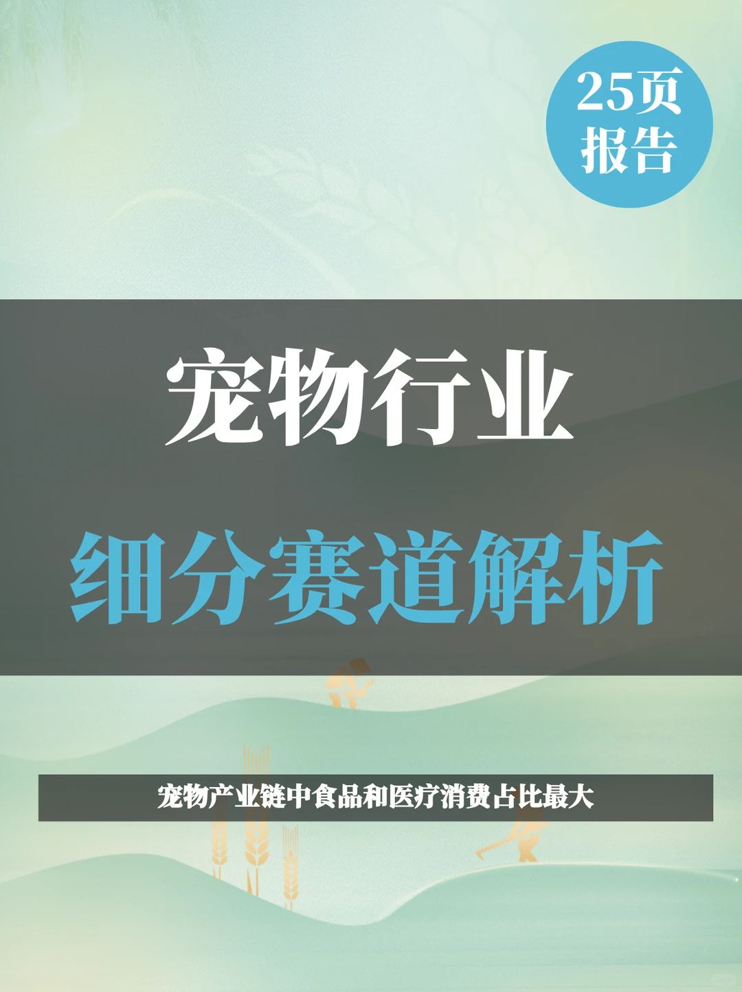 宠物行业细分赛道解析报告