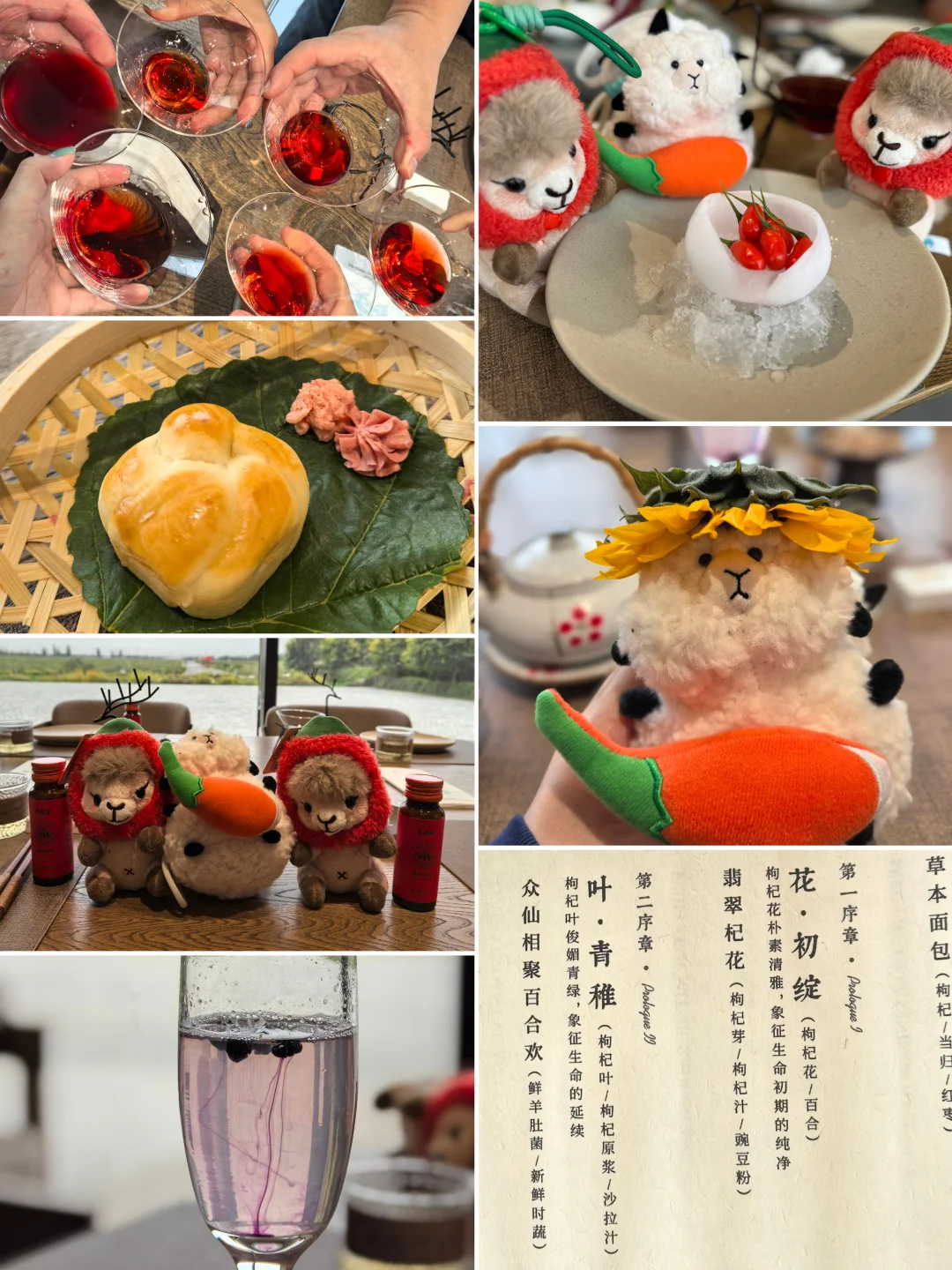 Prowine我们云游银川西夏!✈️