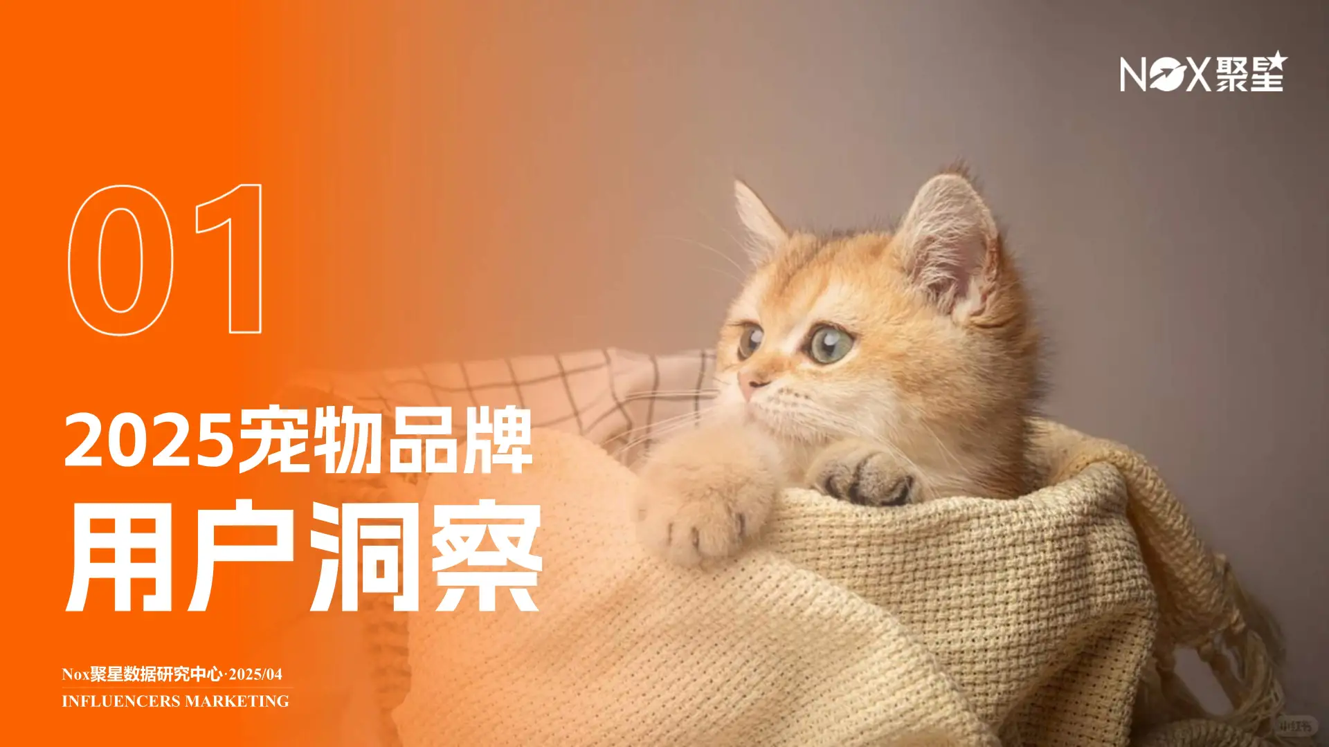 2025宠物品牌网红营销报告