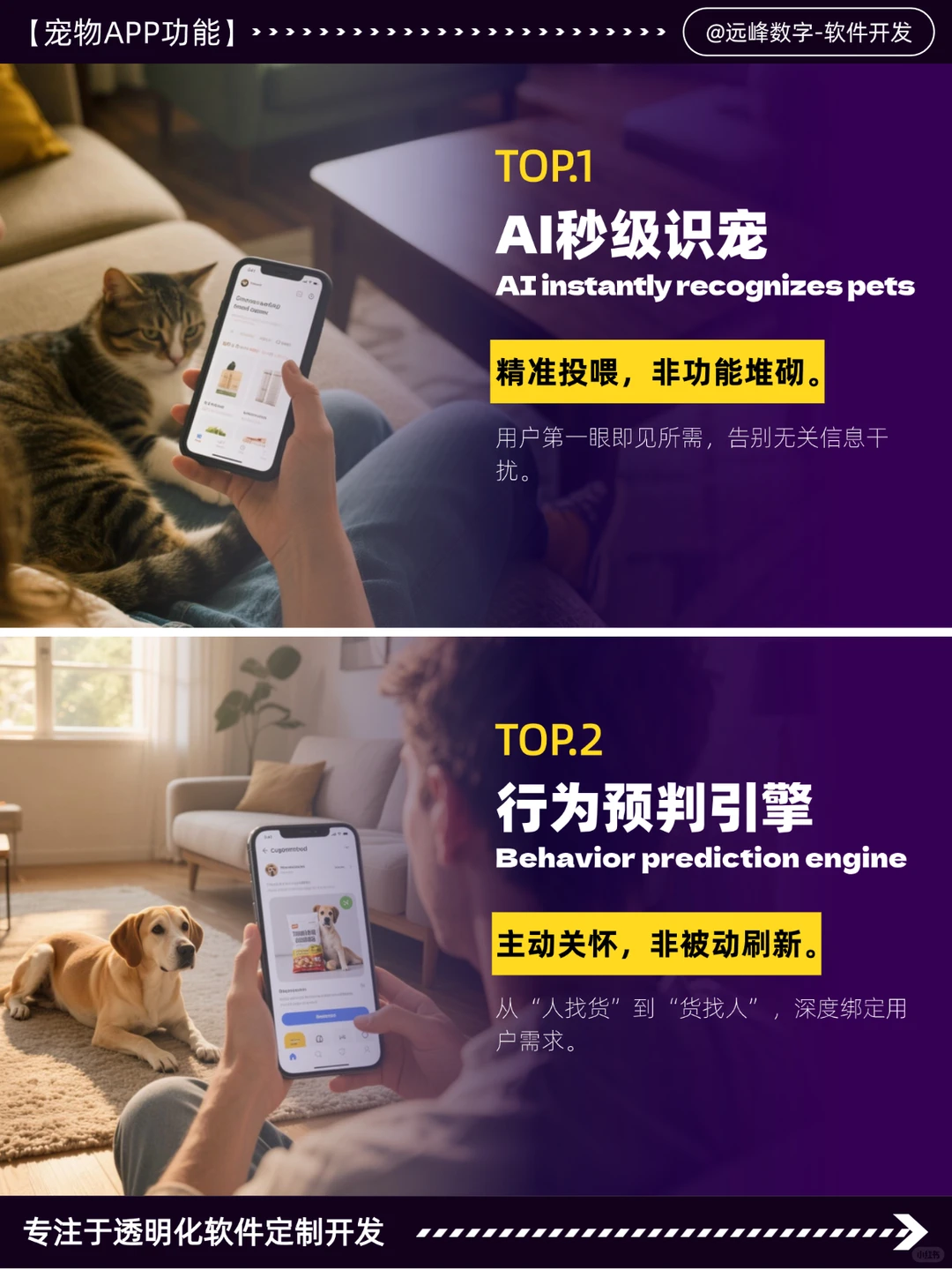 宠物APP让用户留资暴涨400%!数字化转型