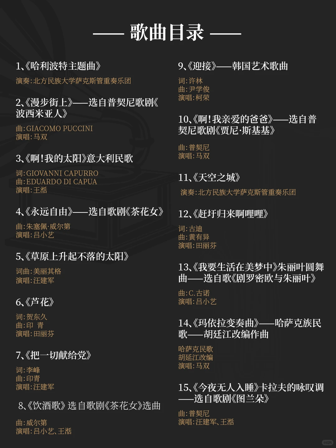 2025安漠新年音乐会|与心灵疗愈之旅同行