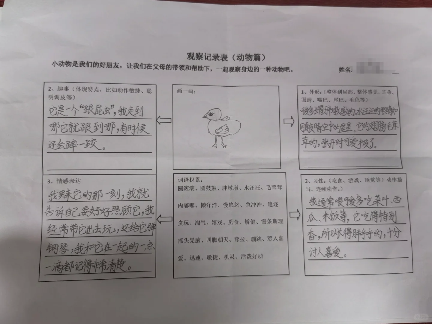 观察记录表，三上语文第五单元