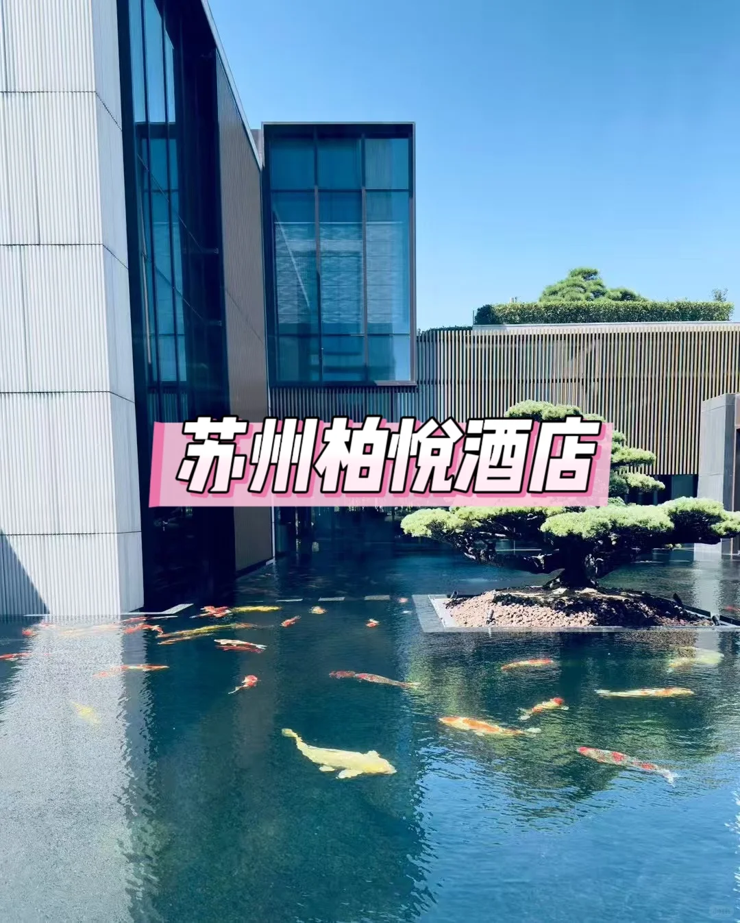 酒旅博主熬夜深扒出来的凯悦心福利，太香了