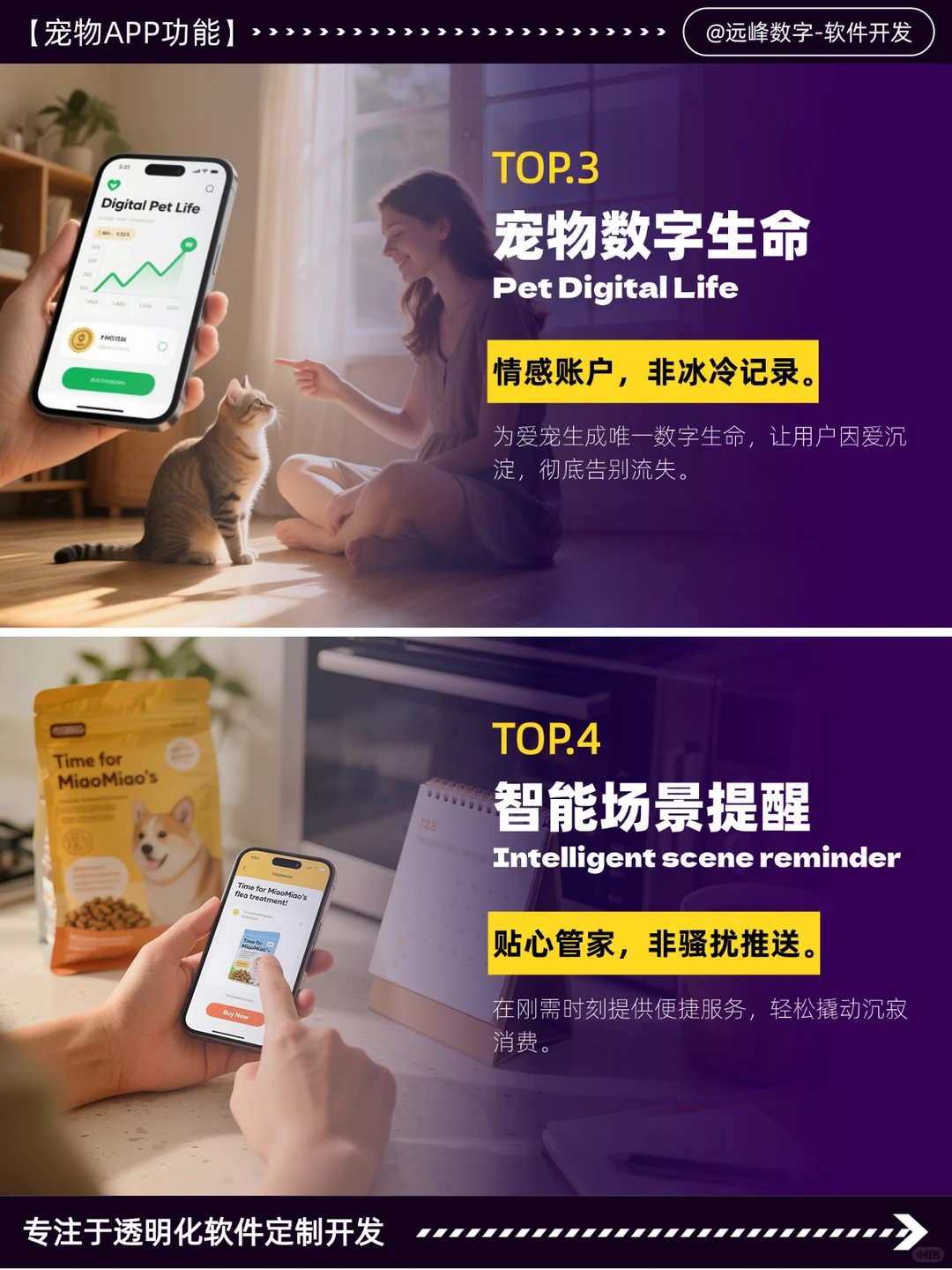 宠物APP让用户留资暴涨400%!数字化转型