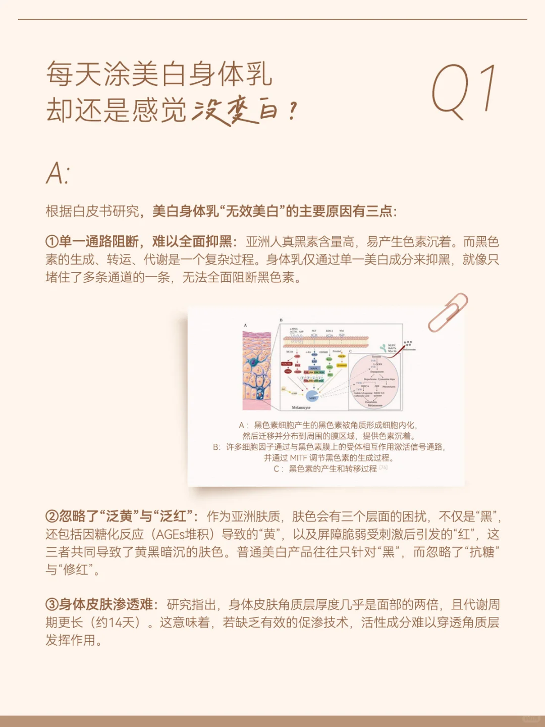 别再无效美白❌打通亚洲肌正确美白思路?