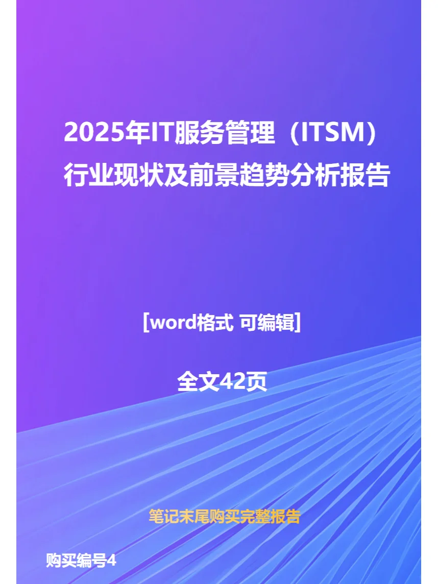 2025年IT服务管理行业现状前景趋势分析报告