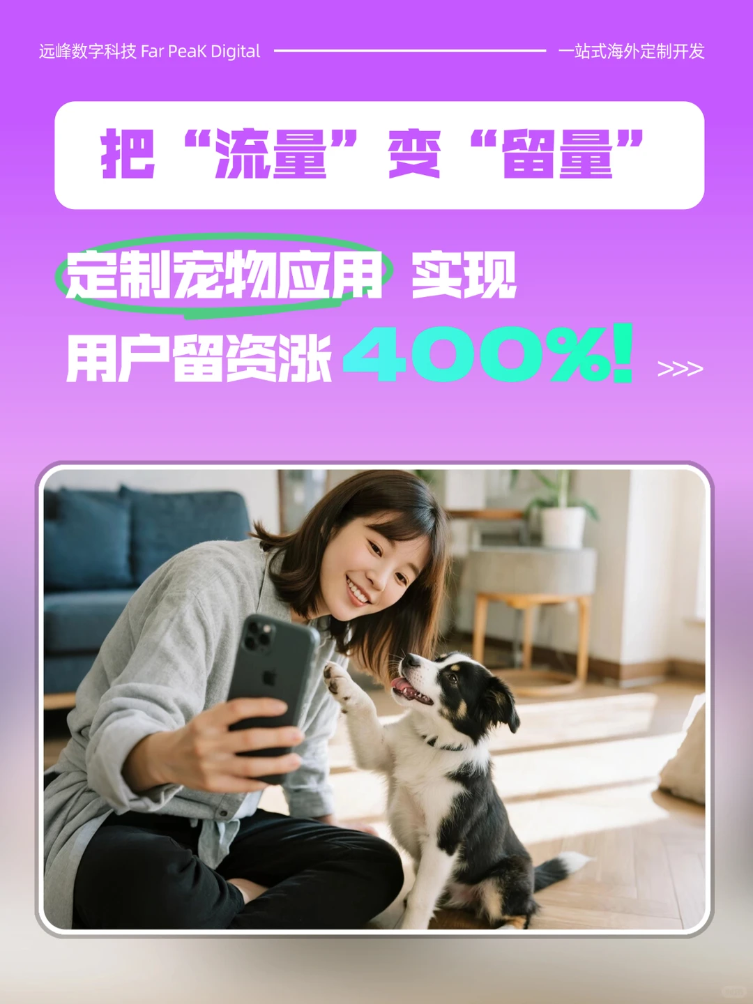 宠物APP让用户留资暴涨400%!数字化转型
