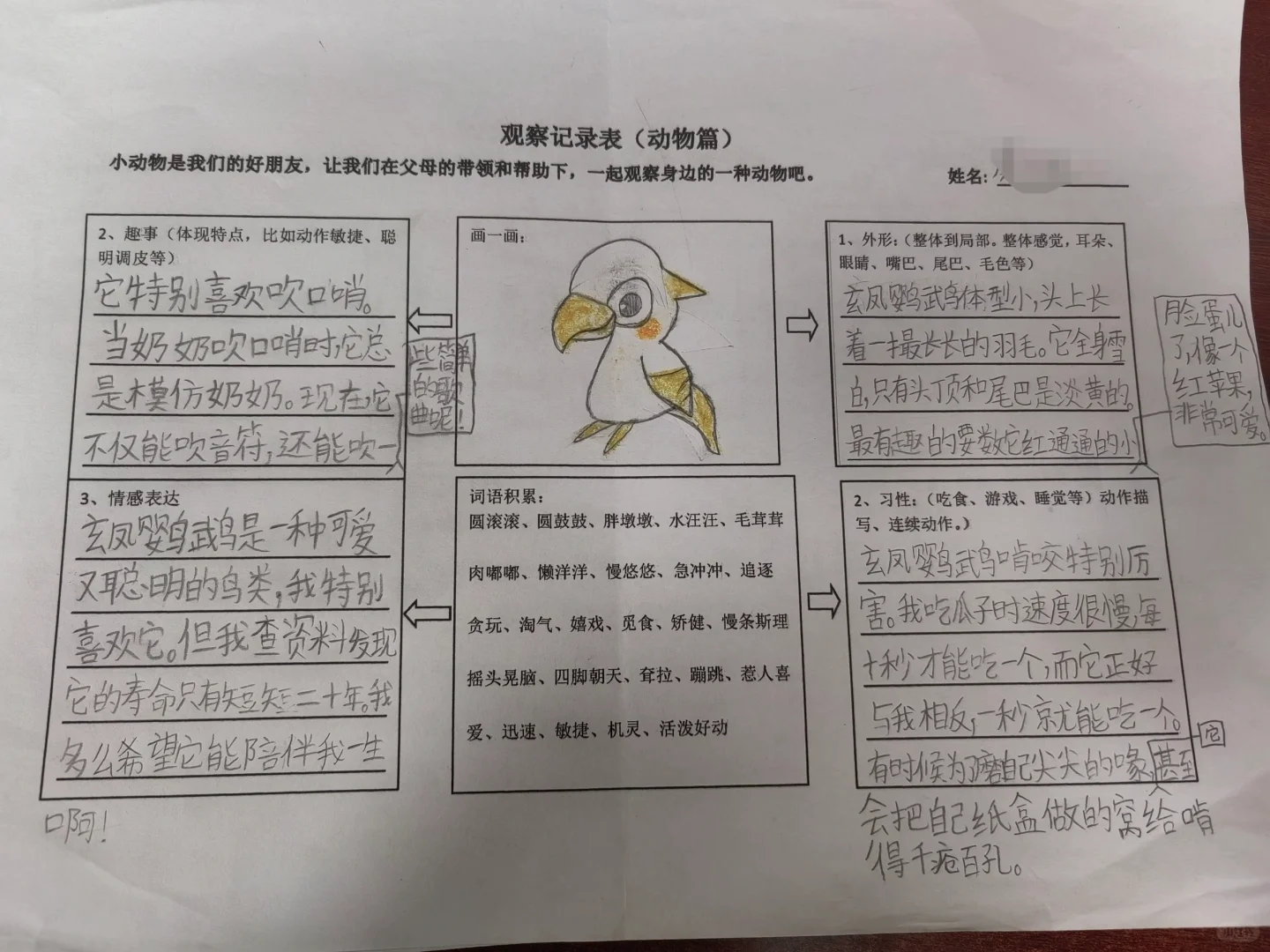 观察记录表，三上语文第五单元