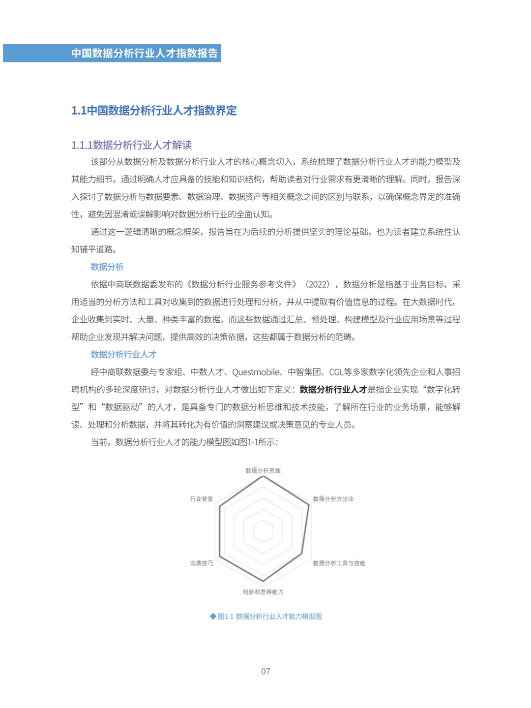 中国数据分析行业人才指数报告