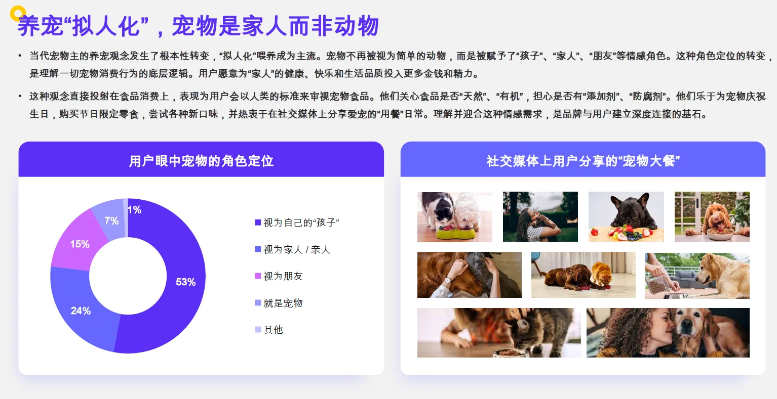 2025宠物行业报告最新版，已出炉