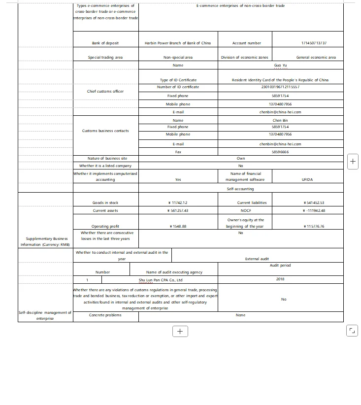 企业年度报告书——中译英