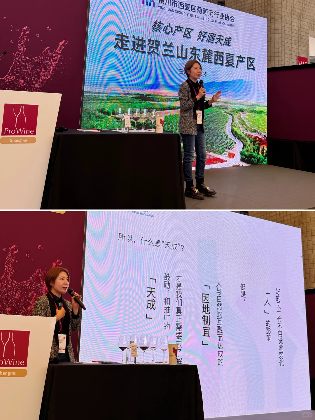 Prowine我们云游银川西夏!✈️