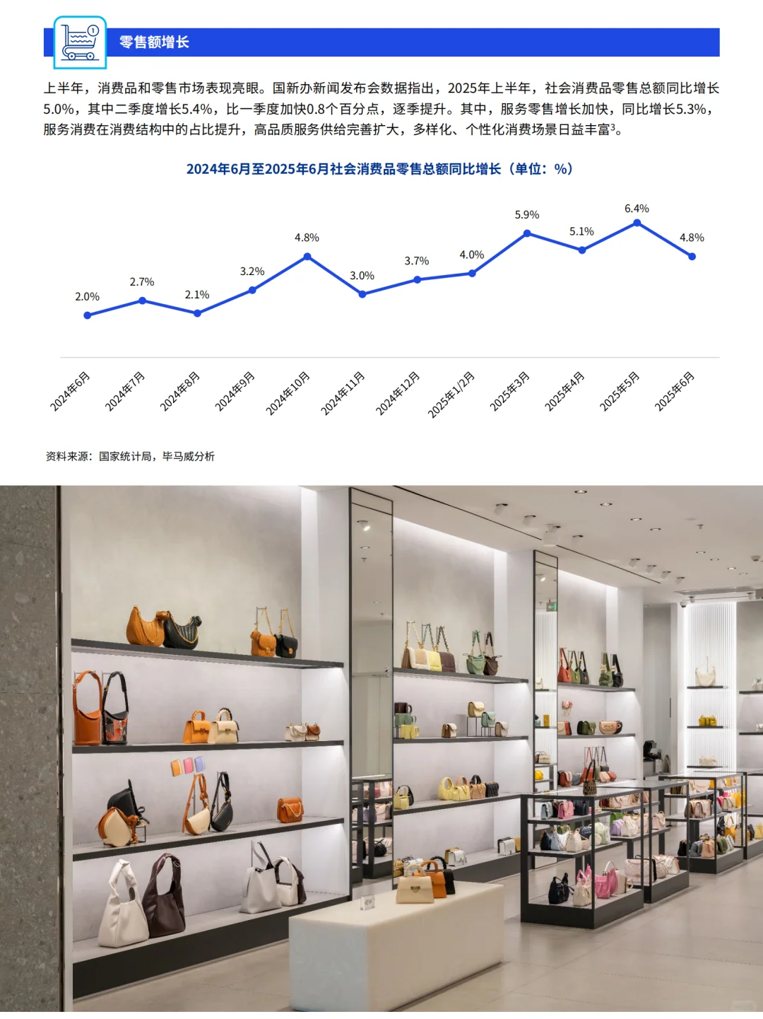 2025年消费品零售业上半年报告