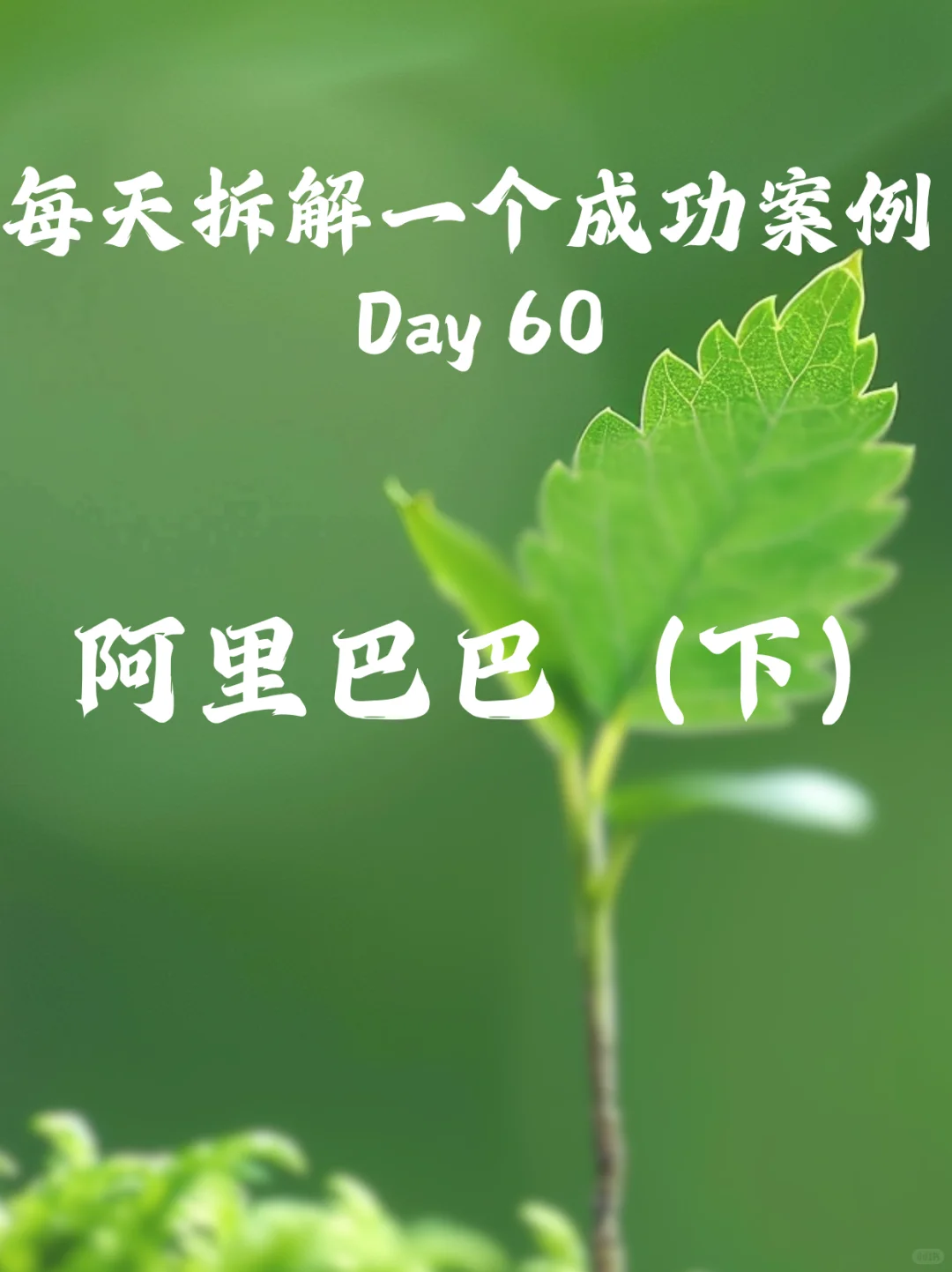每天拆解一个成功案例Day60 阿里巴巴(下)