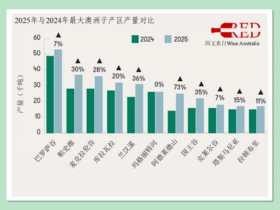 2025年澳洲葡萄酒年度报告(下)