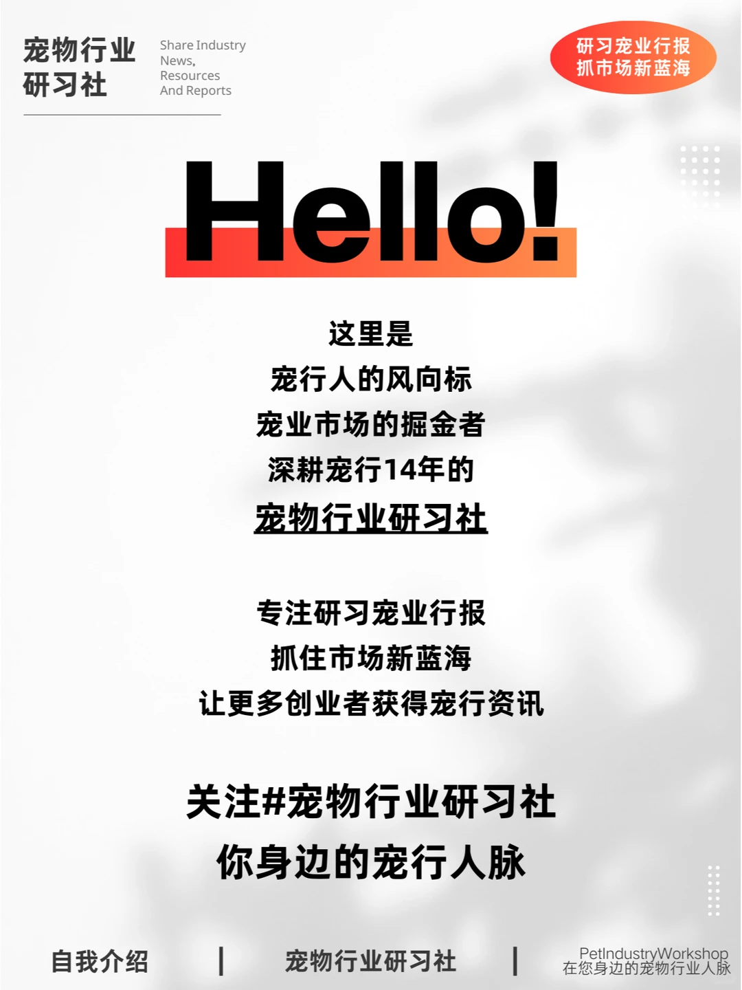 宠物行业报告|2024宠物行业市场趋势变化