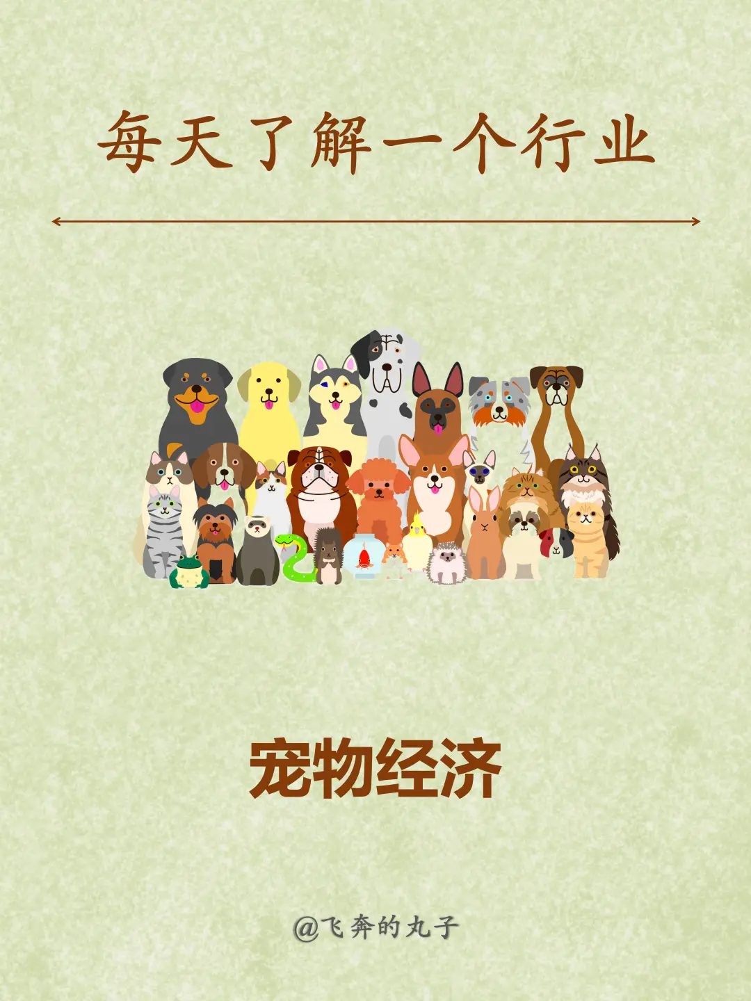 每天了解一个行业：宠物经济