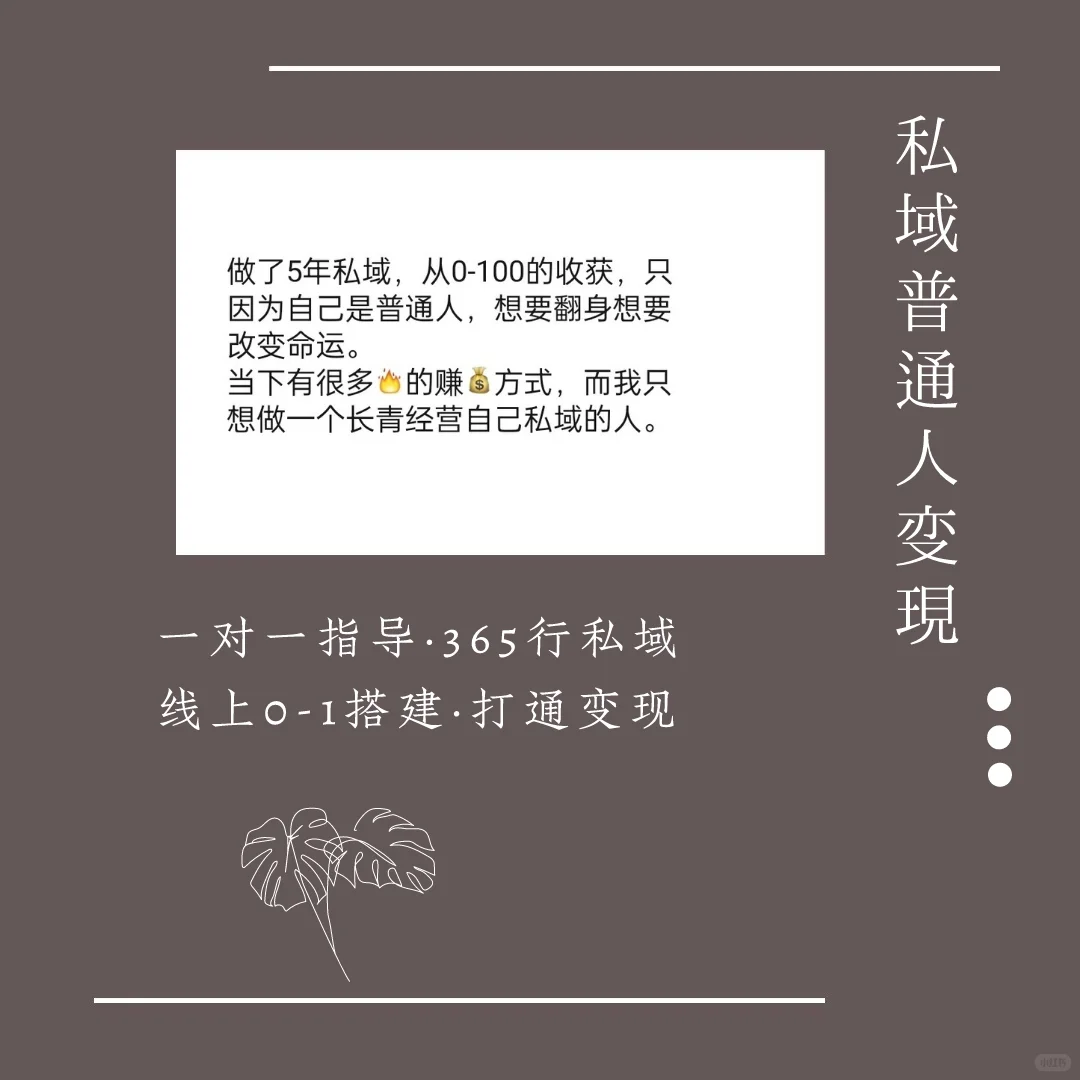 私域就是普通人下一个十年红利?