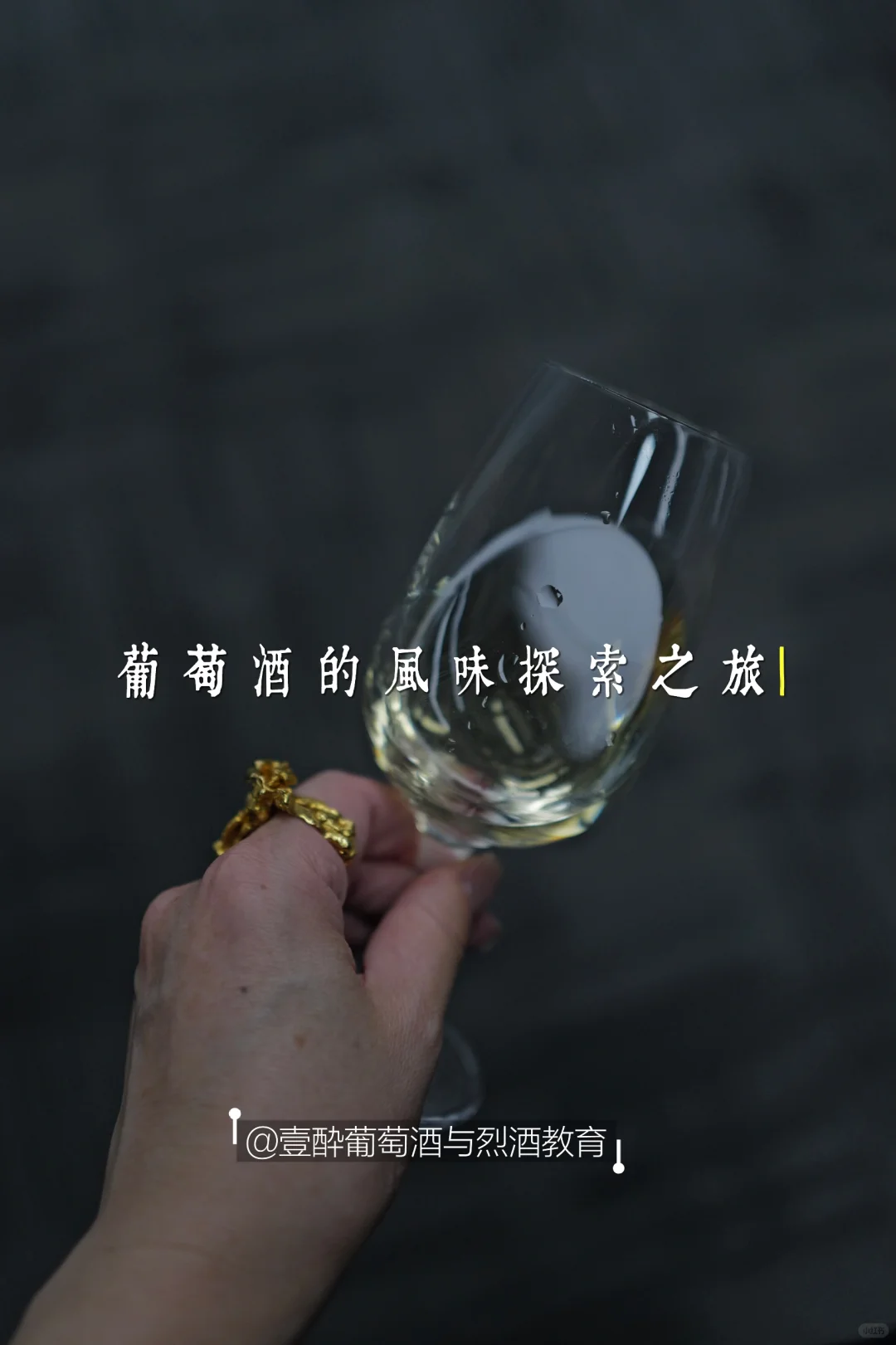 WSET 二级课程，助你从葡萄酒爱好者进阶专