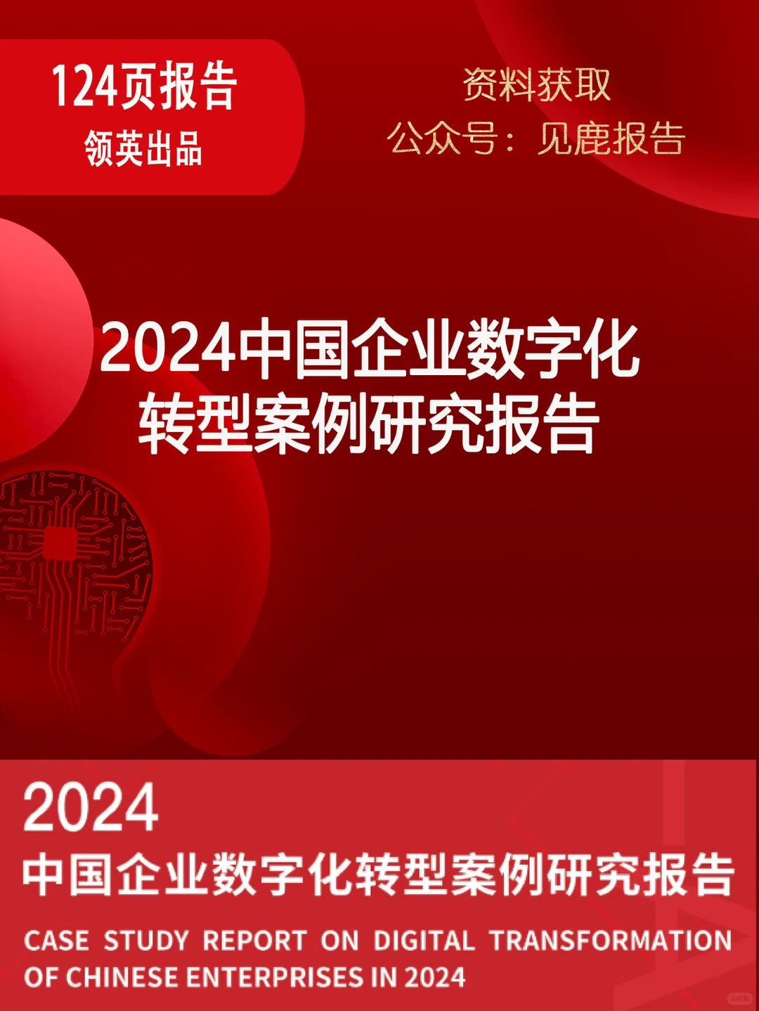 2024中国企业数字化转型案例研究报告