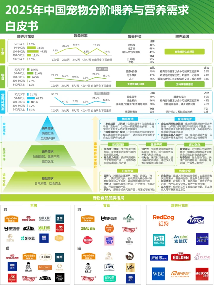 中国宠物经济行业：千亿赛道上的它经济