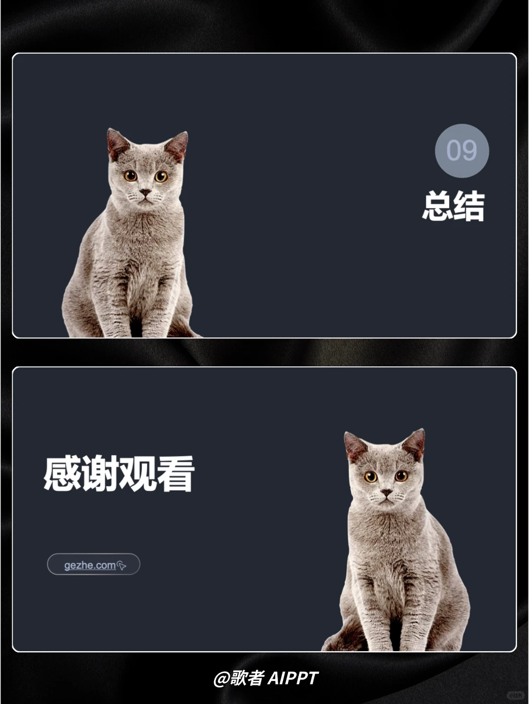 ? 怎么写宠物行业深度研究报告 PPT?