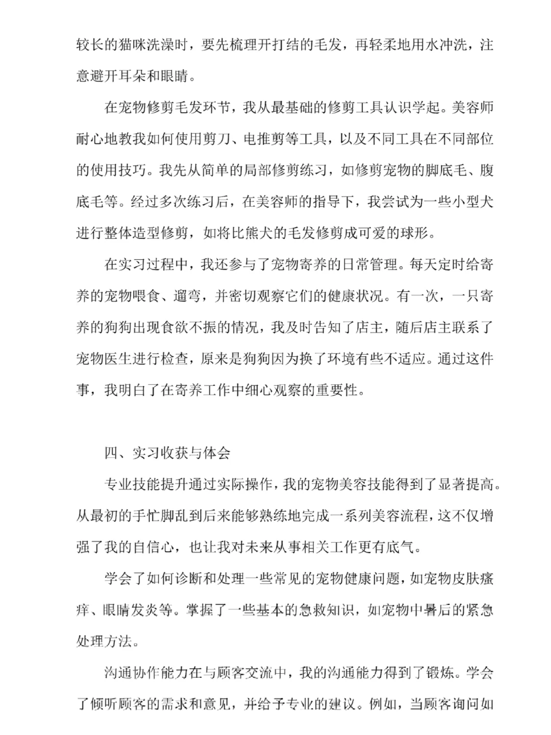 直接抄✔宠物店实习报告分享