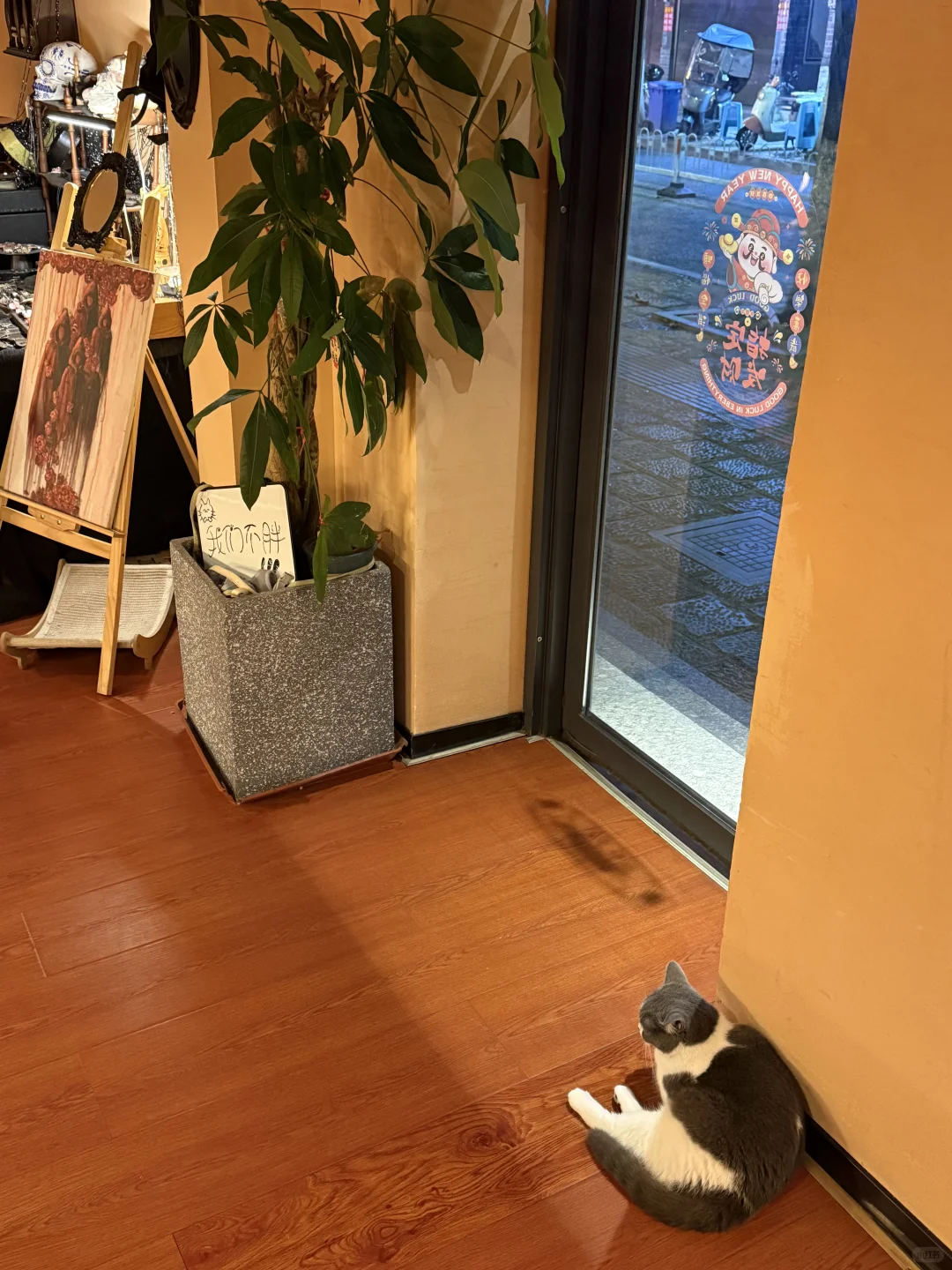 大理｜鸡尾酒｜品PAEAN凌酝威士忌体验店