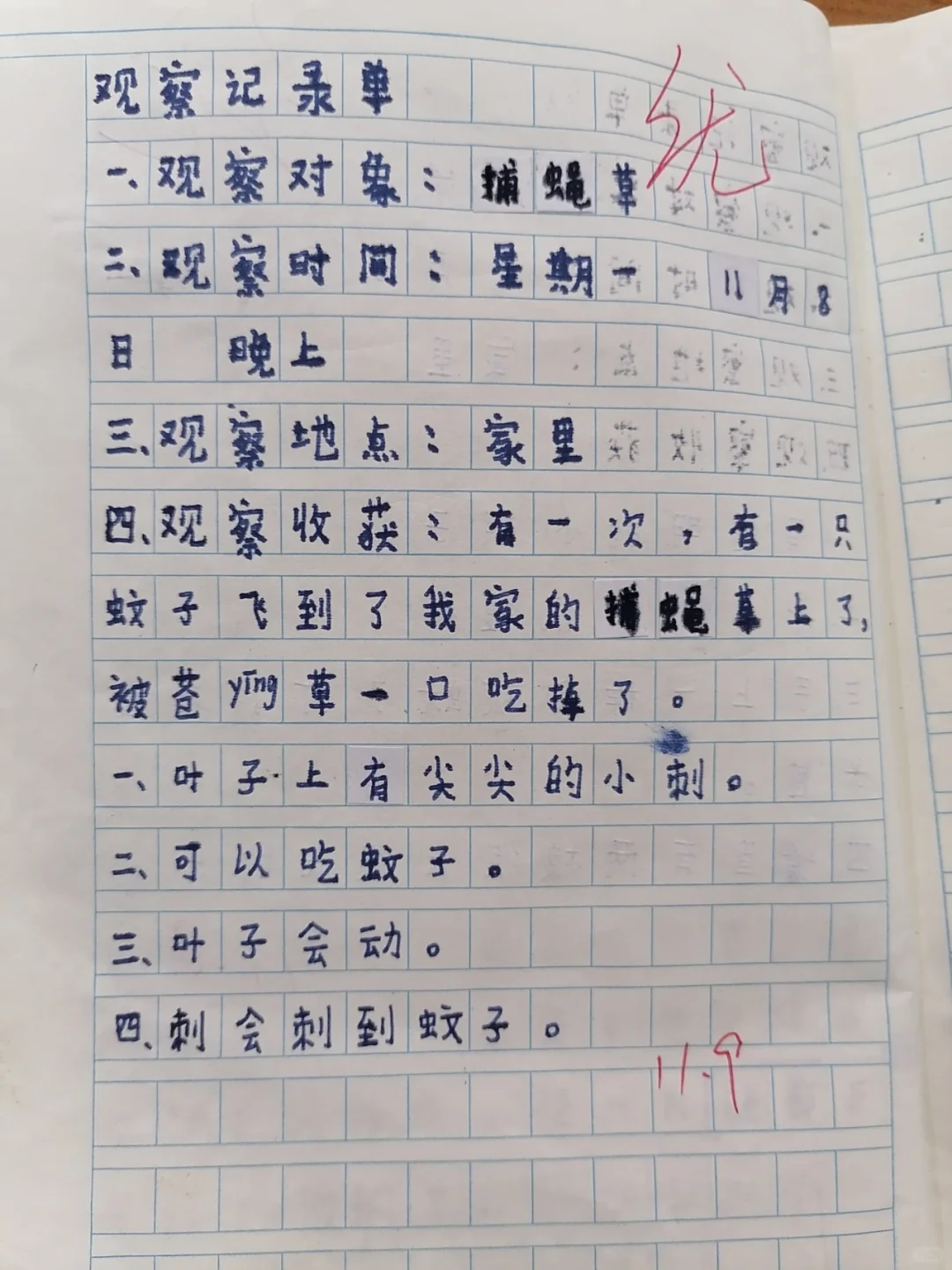 三年级上册语文第五单元：观察记录（植物）