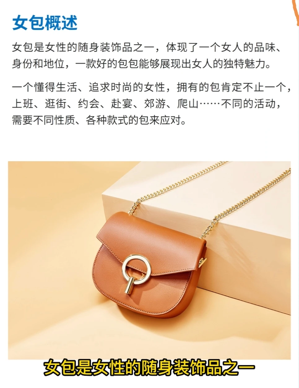 每天研究一个行业