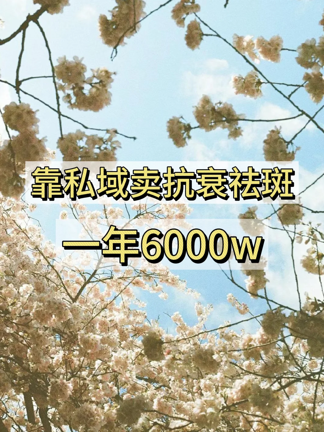 靠私域暴富的秘诀到底是什么