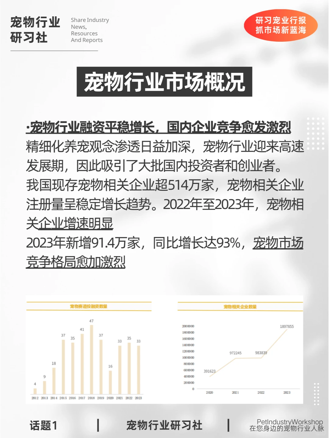 宠物行业报告|2024宠物行业市场趋势变化