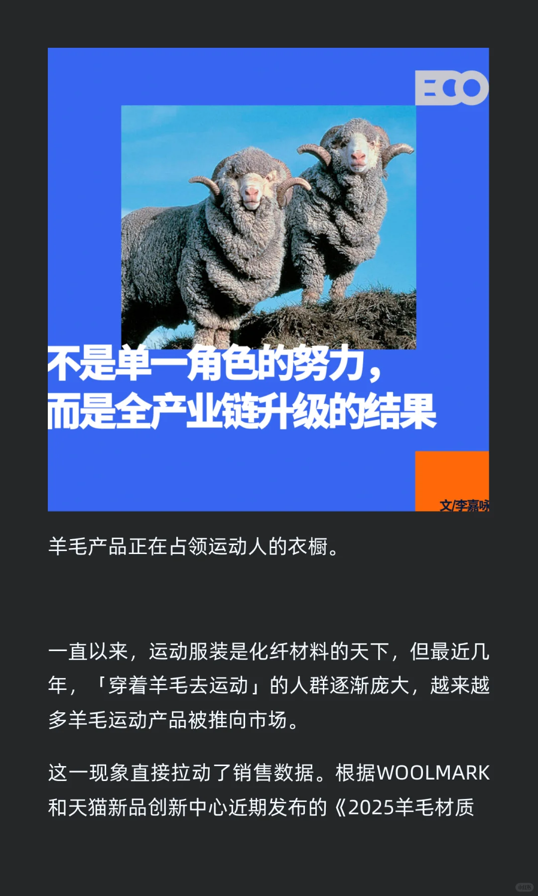 美利奴羊毛攻占户外圈