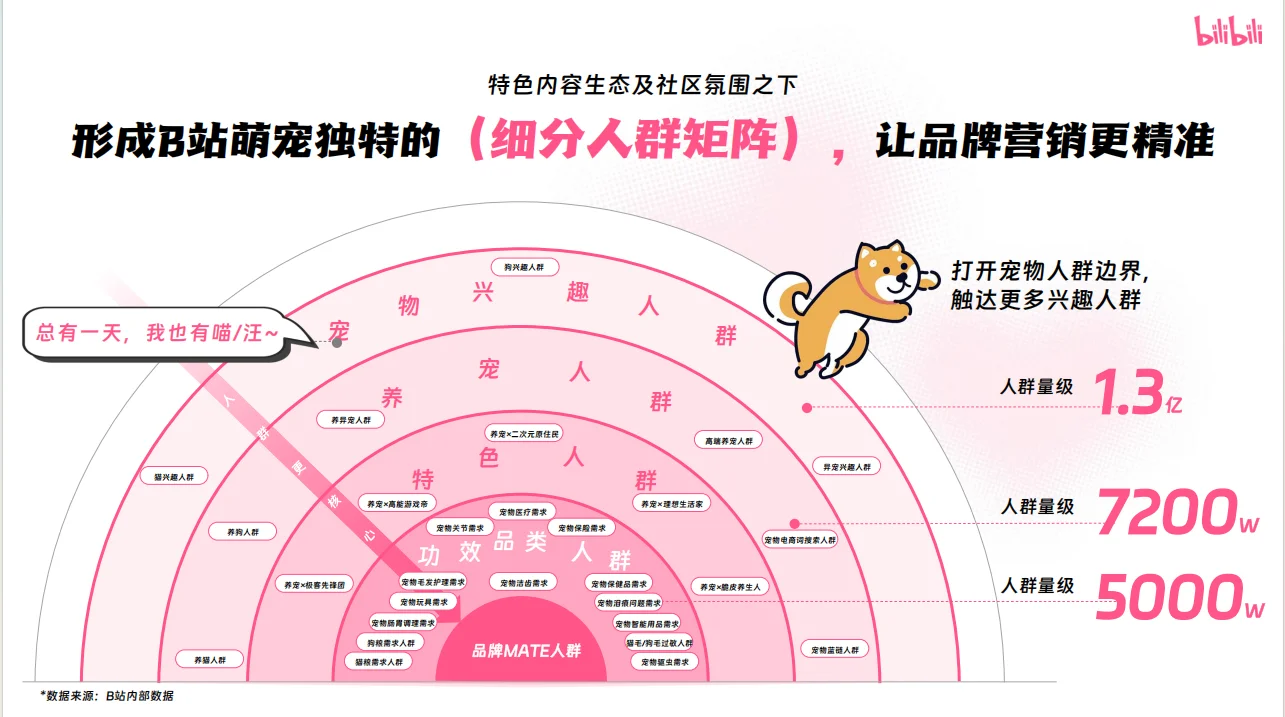 2025年B站宠物行业营销通案