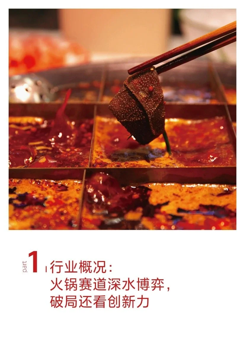 ?2024火锅行业消费趋势报告