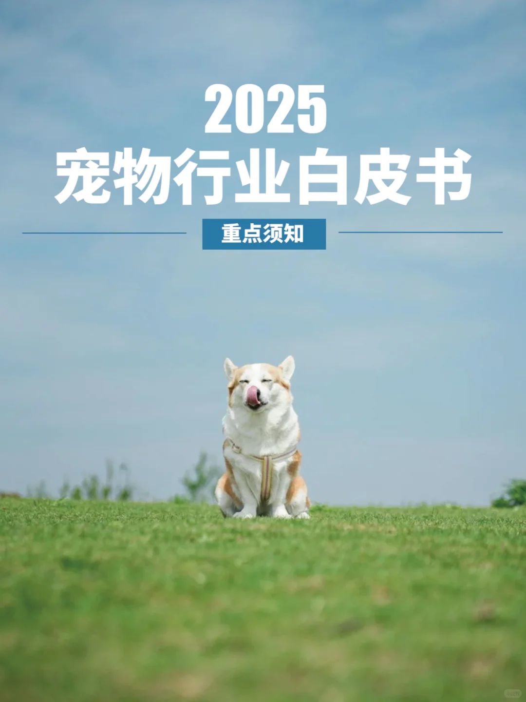 25年宠物行业白皮书已发布?️你看懂了吗