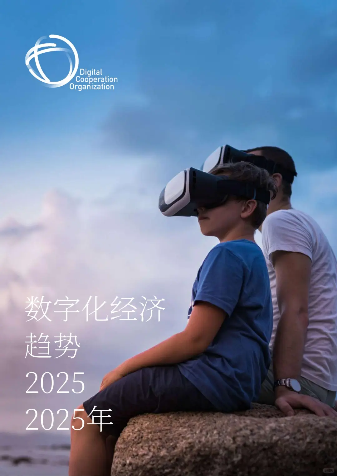 205 页 | ?2025 数字经济趋势抢先看