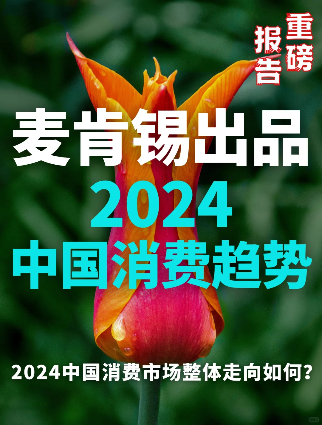 麦肯锡出品|2024年中国消费趋势洞察