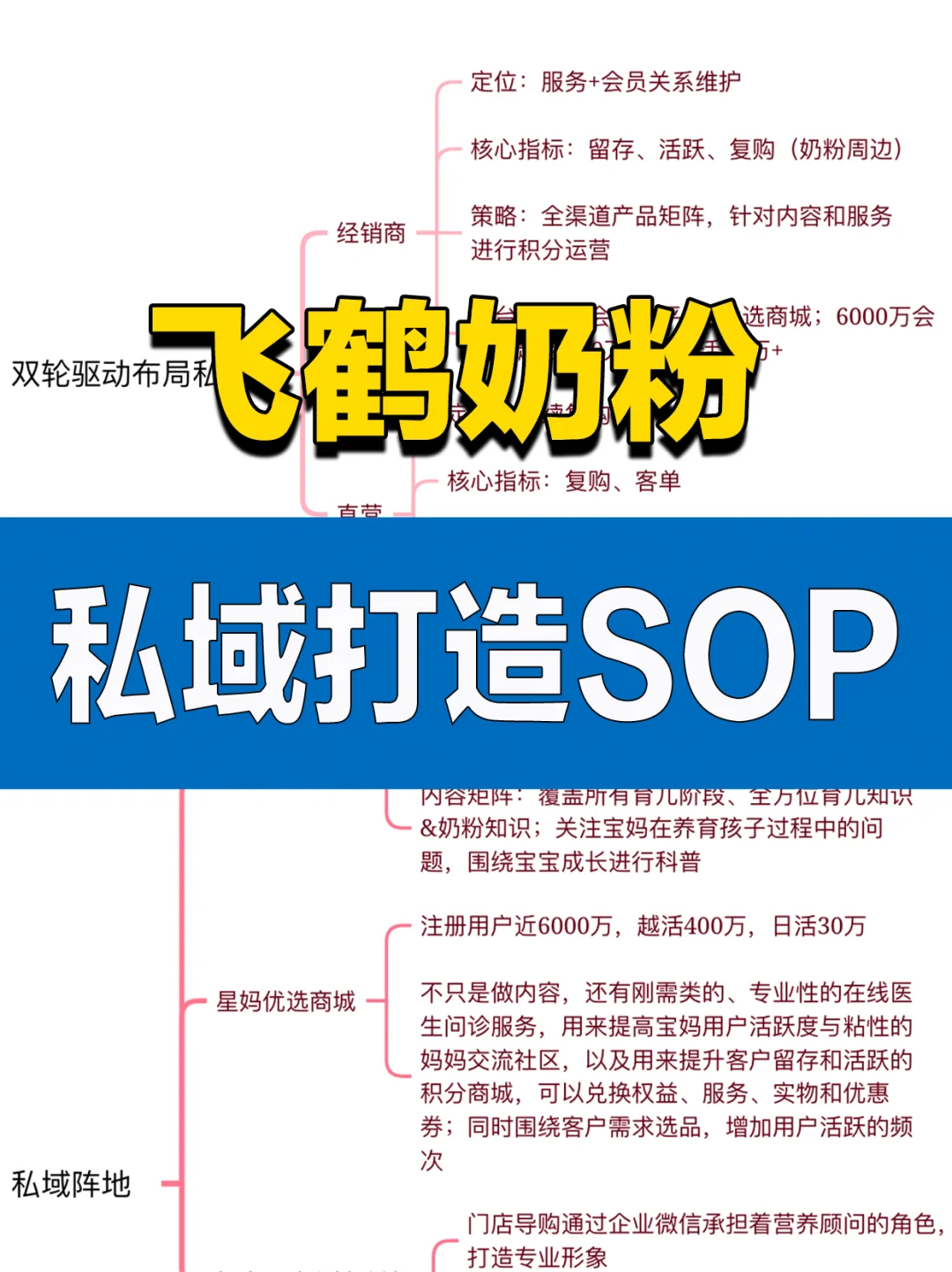 超牛的飞鹤品牌私域