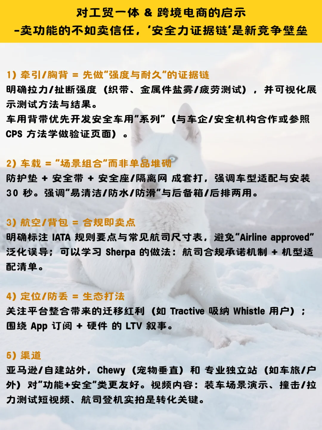 24亿美国宠物出行市场,不单是一条牵引绳