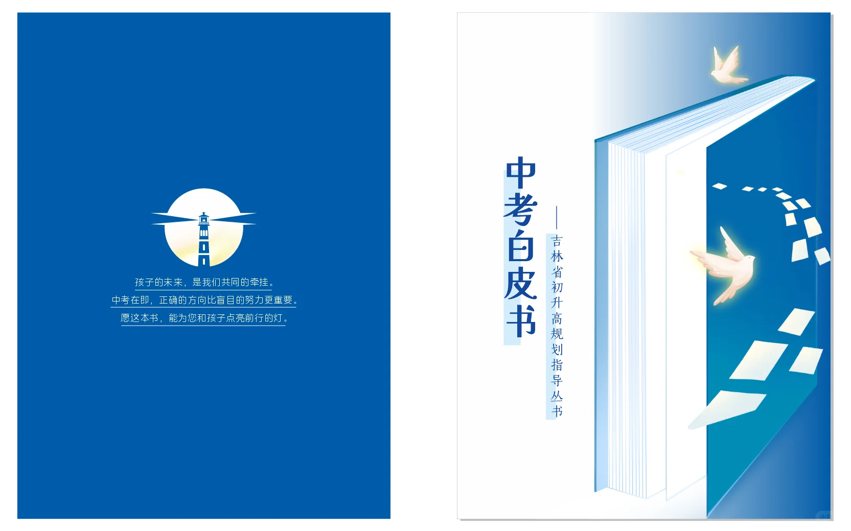 白皮书电子版政策详解报考