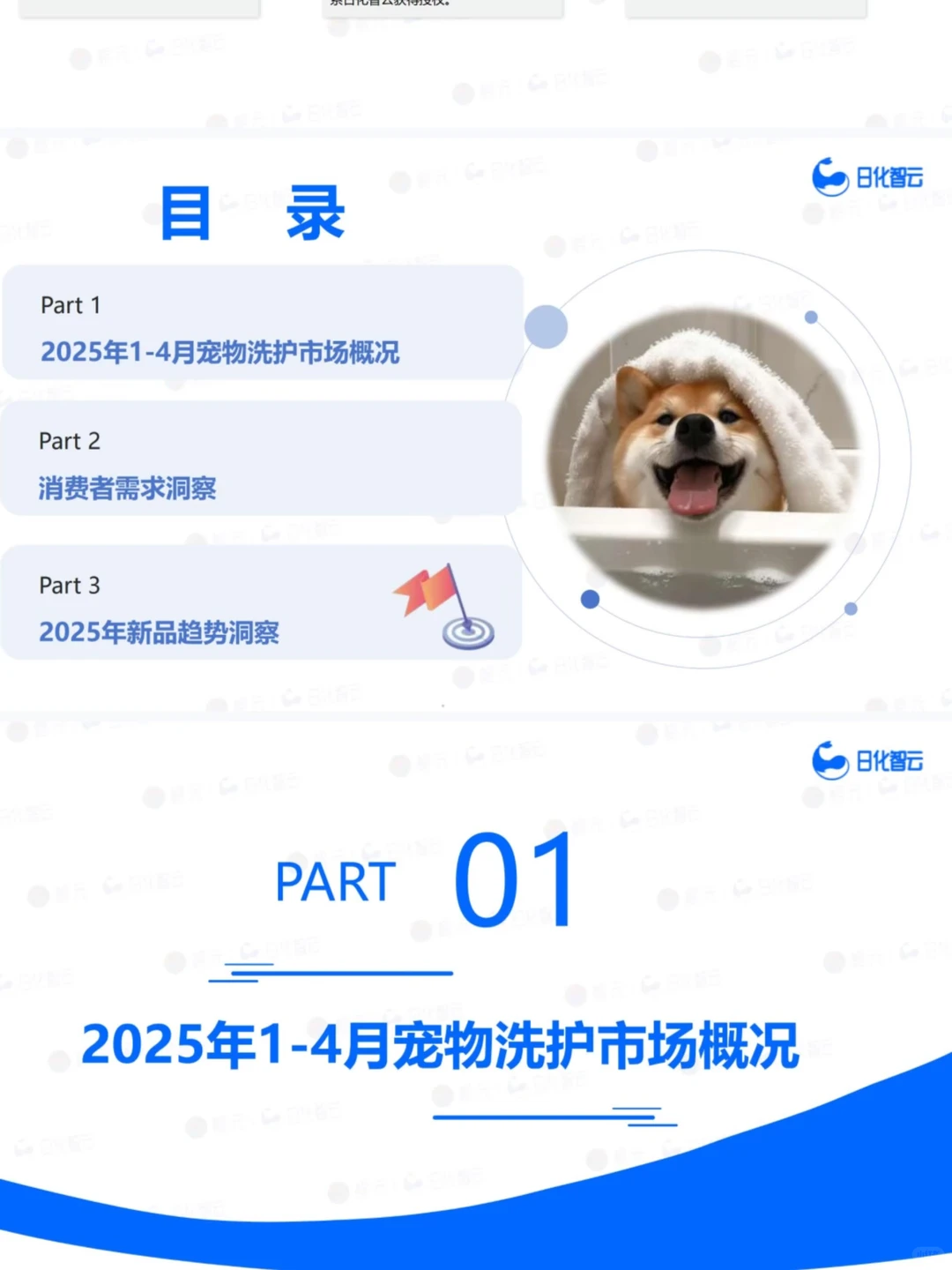 宠物行业研究报告合集|11篇报告
