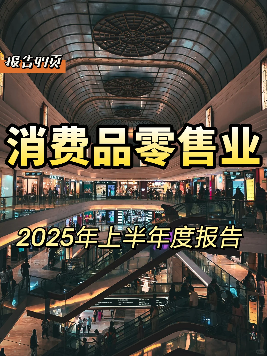 2025年消费品零售业上半年报告